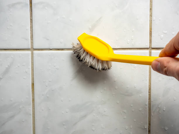 Best Professional Mold Removal  in Rib Mountain, WI
