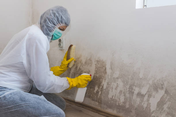 Best Water Damage Restoration  in Rib Mountain, WI