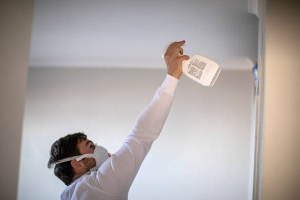 Best Mold Remediation  in Rib Mountain, WI