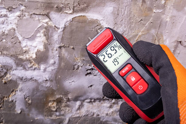 Best Mold Removal and Inspection  in Rib Mountain, WI