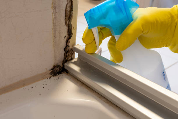 Best Crawl Space Mold Removal  in Rib Mountain, WI