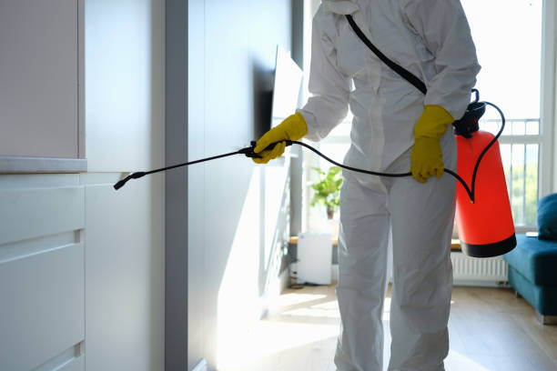 Best Mold Testing  in Rib Mountain, WI