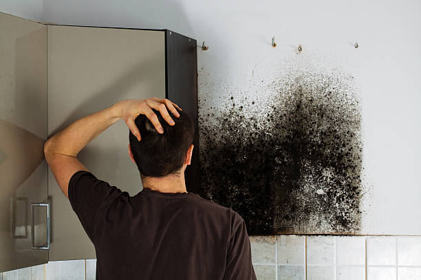 Best Crawl Space Mold Removal  in Rib Mountain, WI